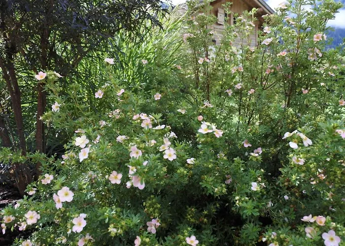 Grand Le Trappeur - 木屋 霞慕尼