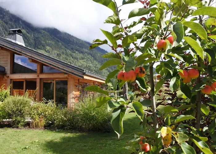 木屋 Grand Le Trappeur - 霞慕尼