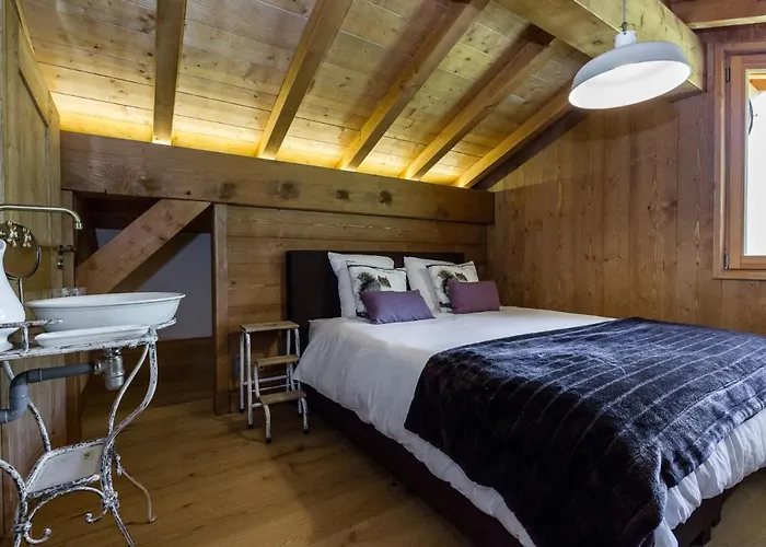 샬레 Grand Le Trappeur - *