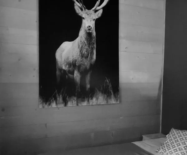 Grand Le Trappeur - * 샤모니